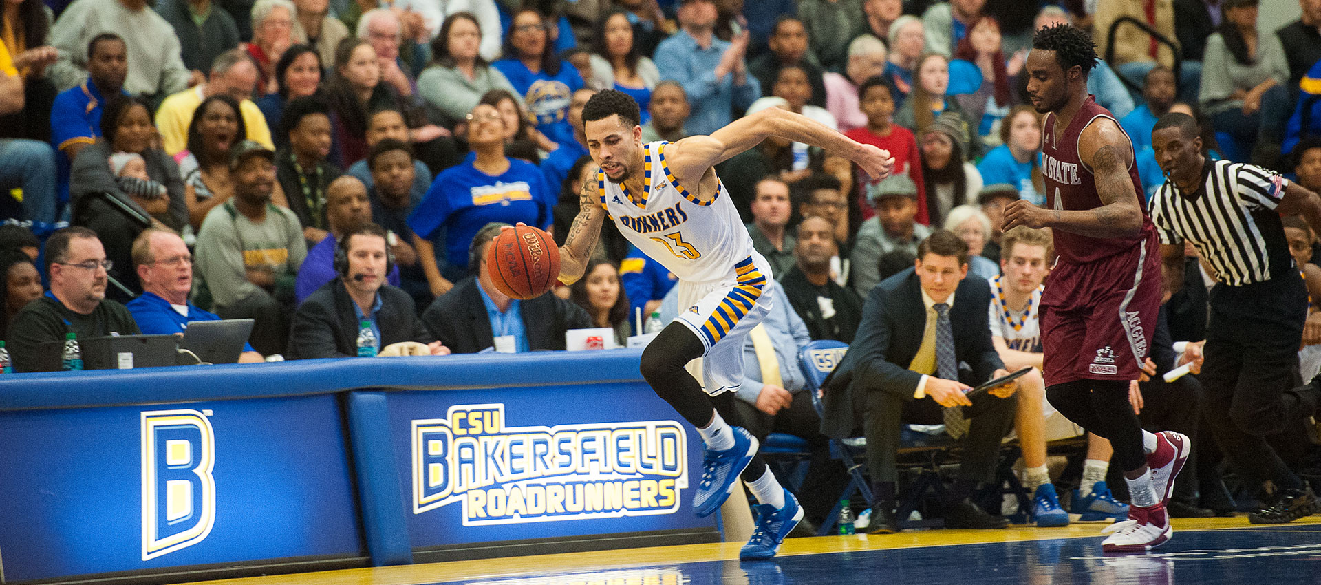 CSU Bakersfield Roadrunners Learfield