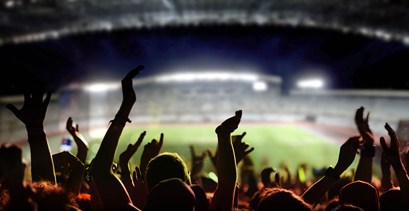 fanbase Report Fans in a stadium