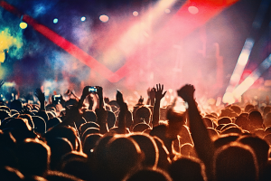 ConcertShots Live Music Audience